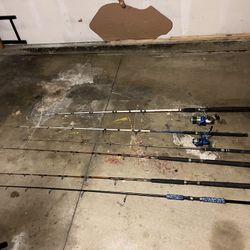 Fishing Rods 