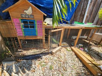 chicken coop, pet cage