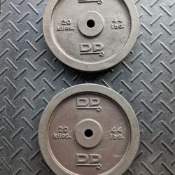 Weights 44lbs Plate