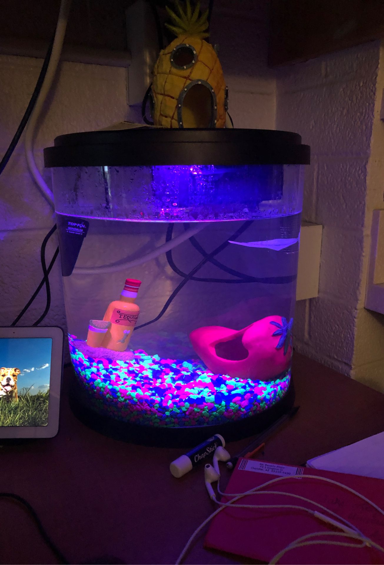 LED Light Fish Tank W/ Supplies And Decoration