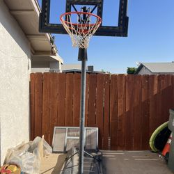 Lifetime Basketball Hoop