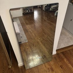 Echelon Workout mirror 