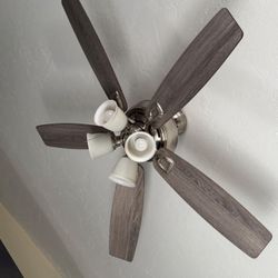 Ceiling Fan 