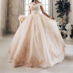 Sweet 16/ Quinceanera Dress