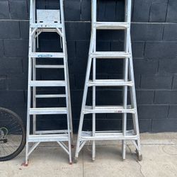 Werner Ladders 2 Pieces