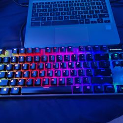 Steelseries Apex 7 TKL Brown Switches