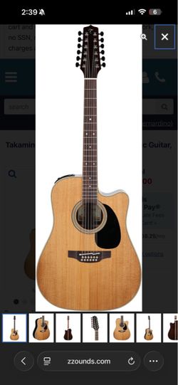Takamine 12 string