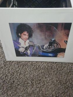 Prince canvas