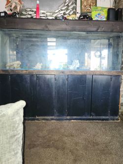 200 Gallon Fish Tank