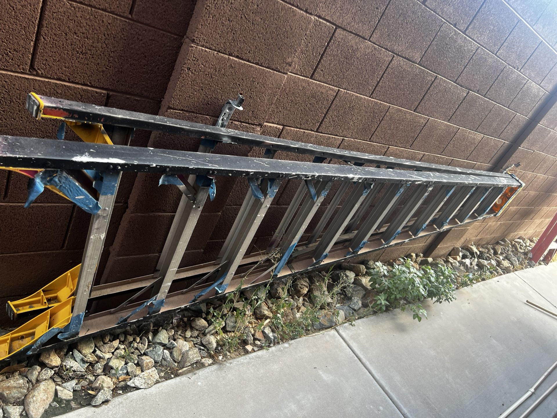 12 Foot Ladder