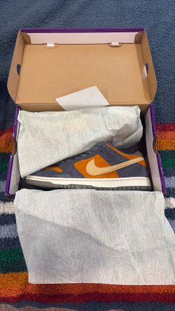 Nike SB size 10.5