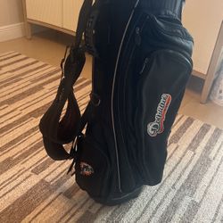 Callaway Dolphins Golf Bag