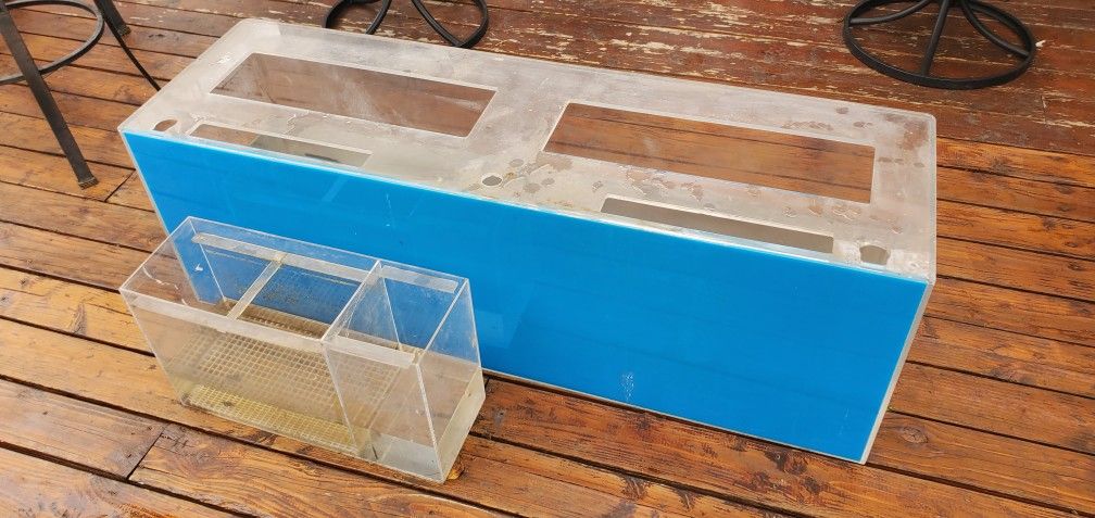 Fish Tank
