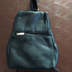 NEW Aurielle Leather Bag - Convertible Backpack/Handbag With Single Strap/Split