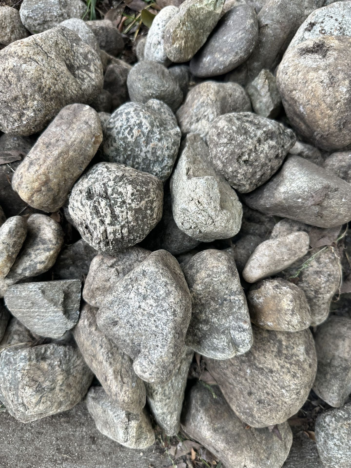 Rocks (Claremont Potatoes)