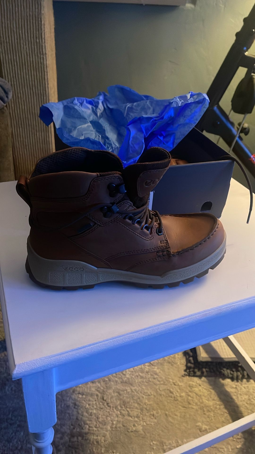 Ecco Track 25 Leather Goretex womens hiking boots