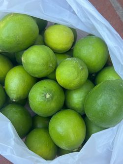 Limón grande orgánico