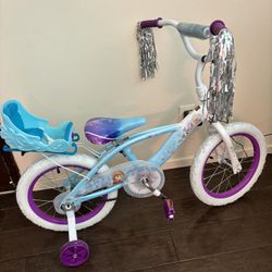 Frozen Bike 16” Like New 