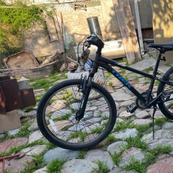 Trek  24” Woman’s 