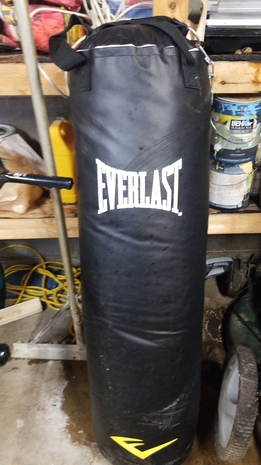 100lb Everlast punching bag