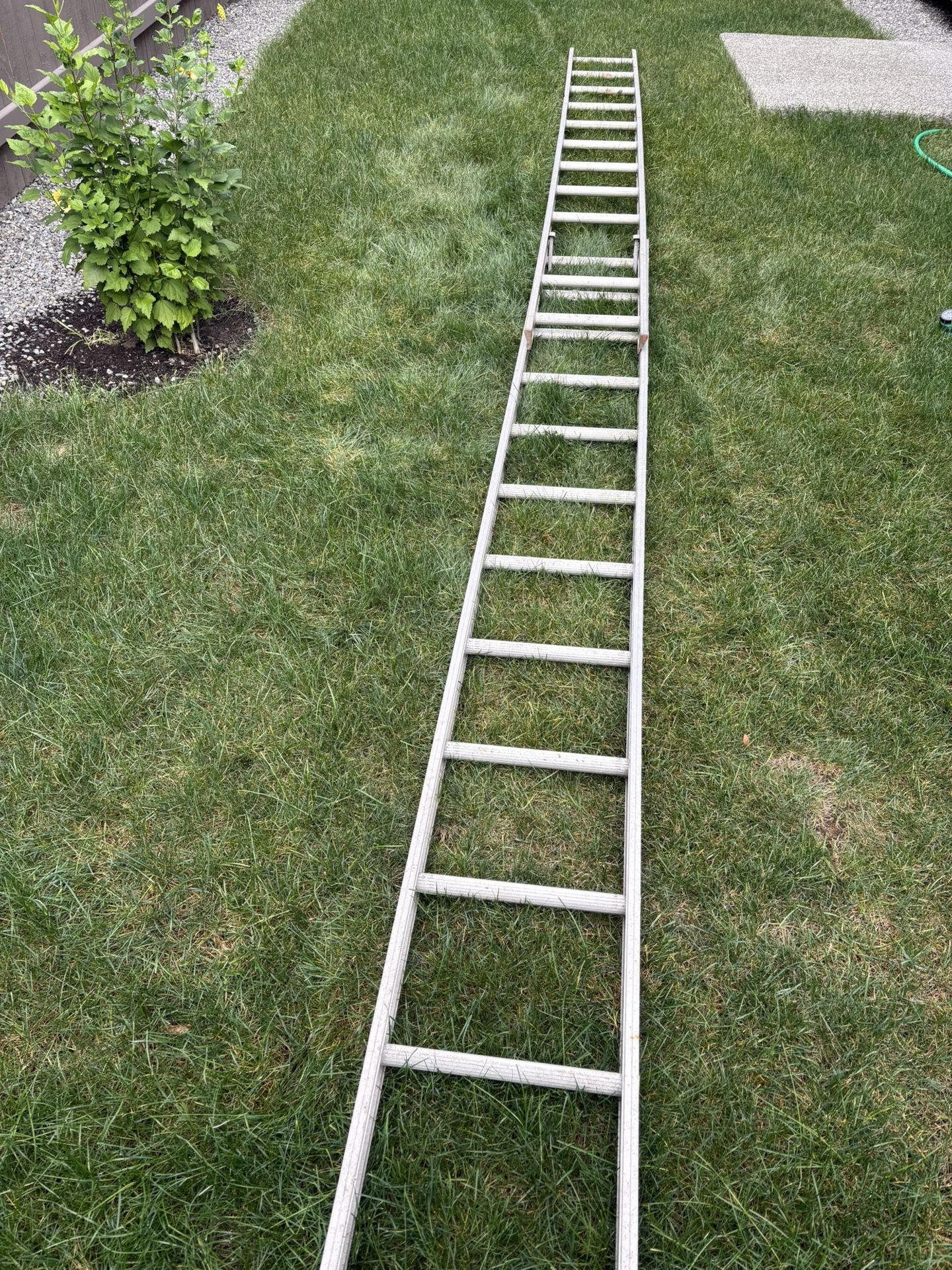 24 Ft Werner Household Ladder 
