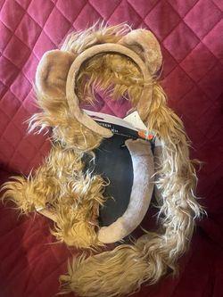 Adult lion accessories