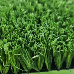 Sintetic Grass