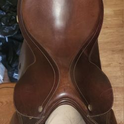 Collegaite Saddle 