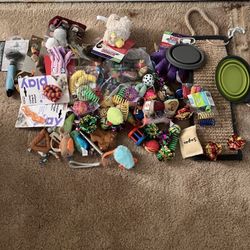 Chewy cat toys