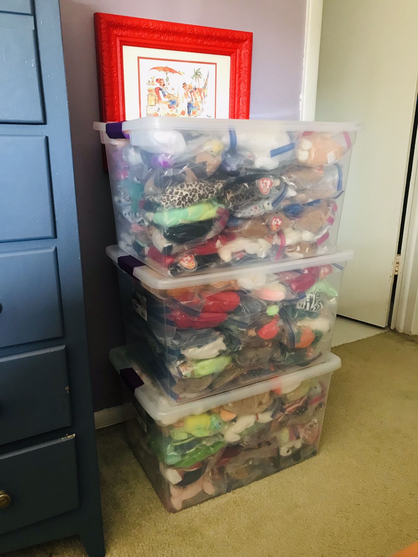 Beanie Baby Collector’s Dream!!  300 Pieces!!