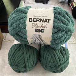 Bernat Blanket Chenille Big Yarn-3 Pack- New
