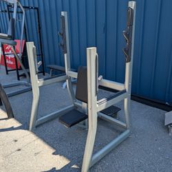 Muscle D Seated Military Press