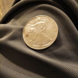 2020 Sliver Dollar Coin