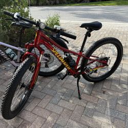 24” Kids Specialized Mountain Bike