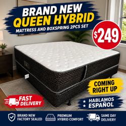 🟢NEW HYBRID SET $249
