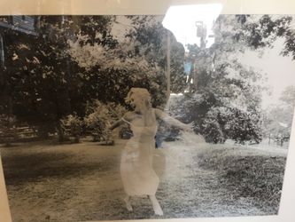Marilyn Monroe framed photo