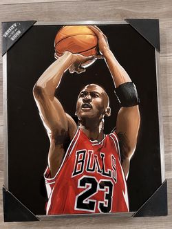 Michael Jordan 16x20 Frame