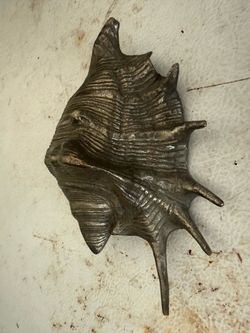 Metal seashell