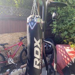 Punching Bag With Speed Bag 