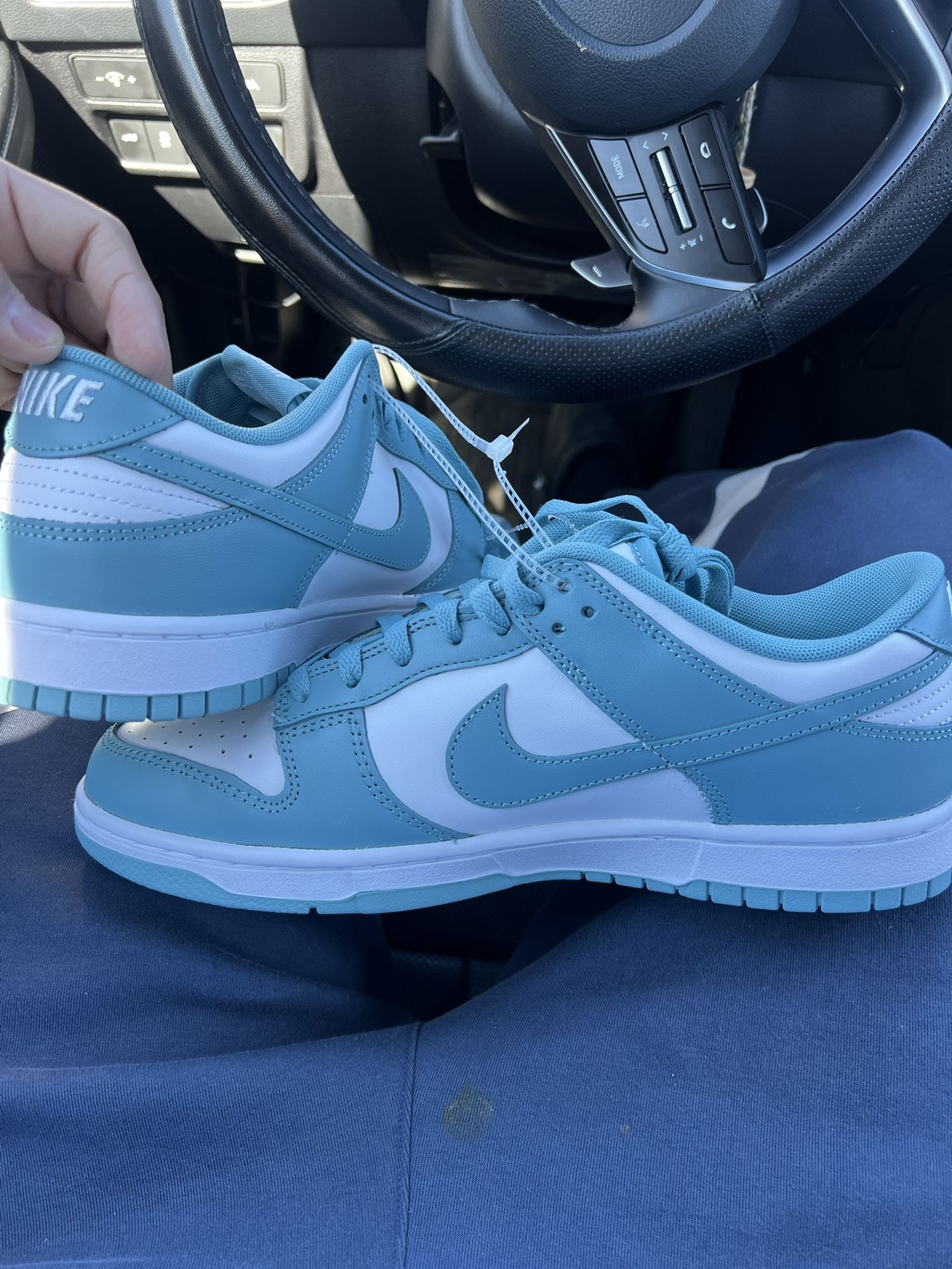 Baby Blue Nike Dunks (SIZE 11)