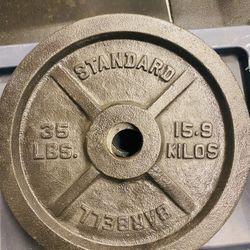 Standard Iron 35LB Plate Weights 