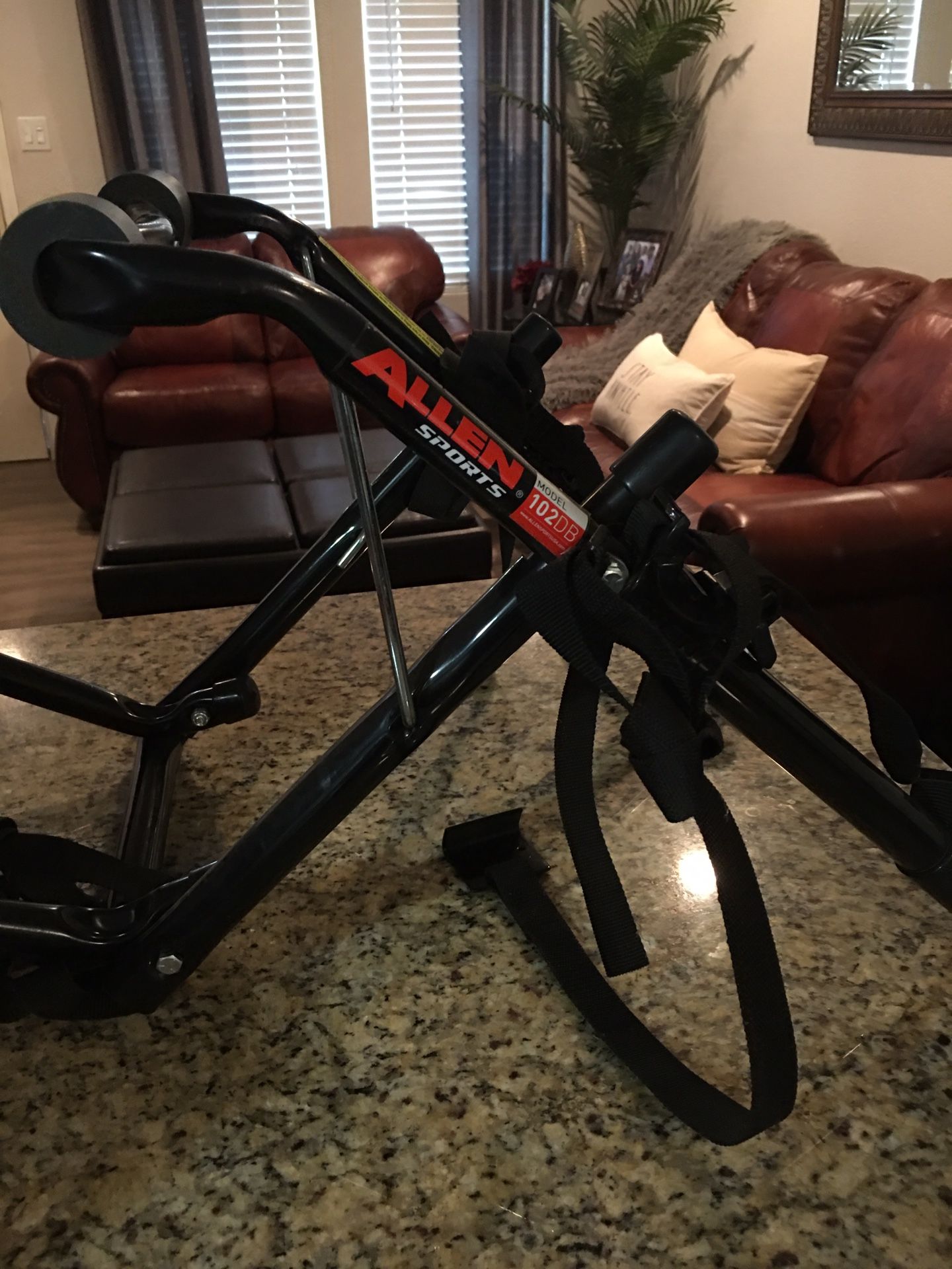 Trunk mounted bike rack