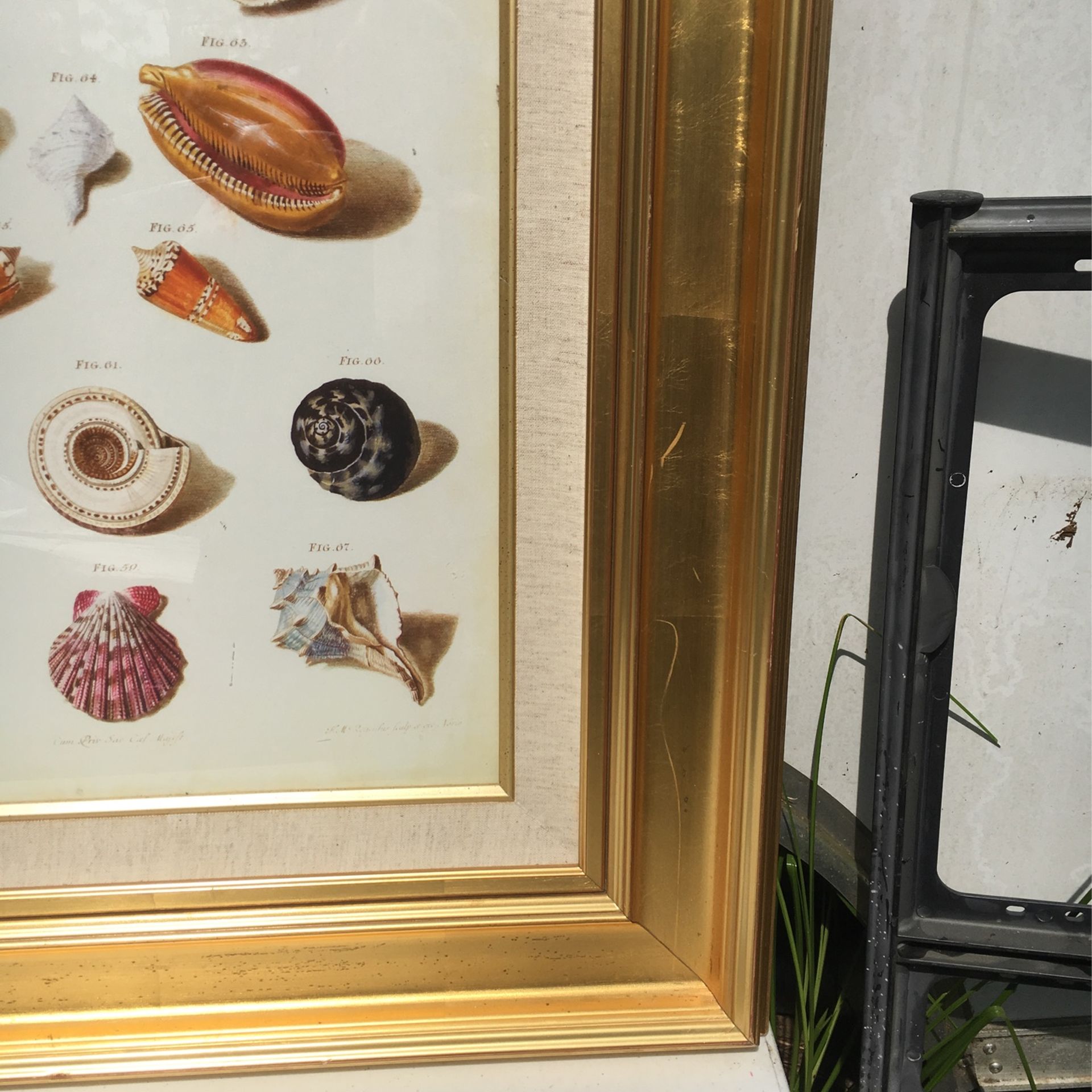 Gold / Cloth Frames And Picture S