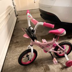 Toddler Bicycle
