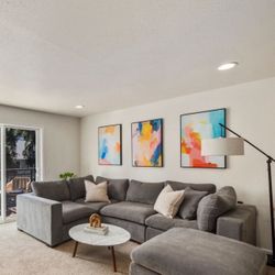 Grey Sectional Couch 