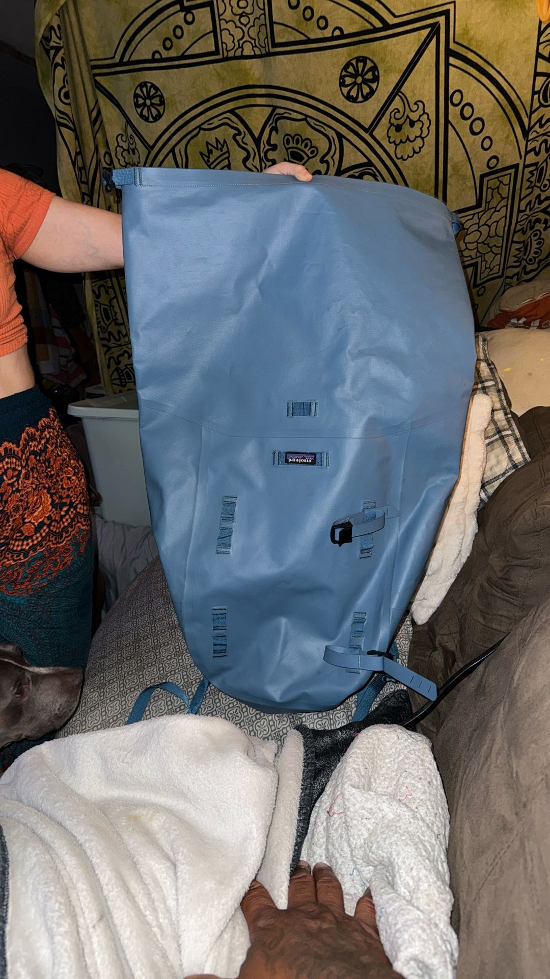 Patagonia Hiking Bag
