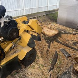 stump grinding  stump grinder 