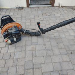 Echo Leaf blower Backpack