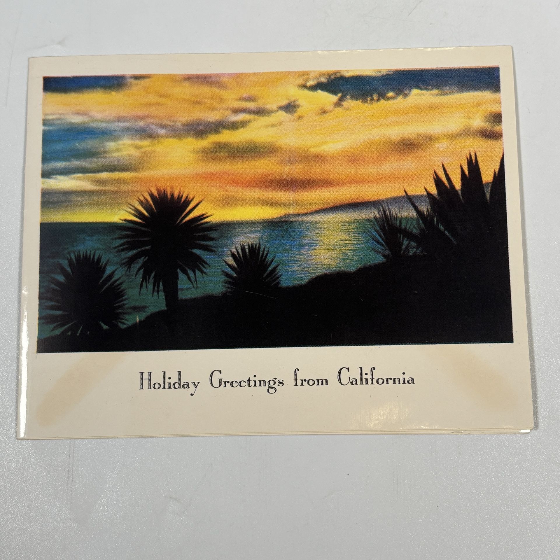 Vintage Longshaw California Christmas Card Golden West Glossy Desert Horizontal