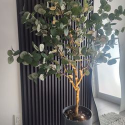 Planta Artificial De Eucalipto En Maseta 